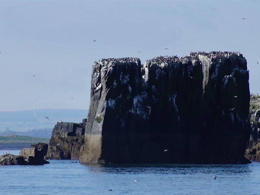 Farne Island Rooms シーハウシズ エクステリア 写真